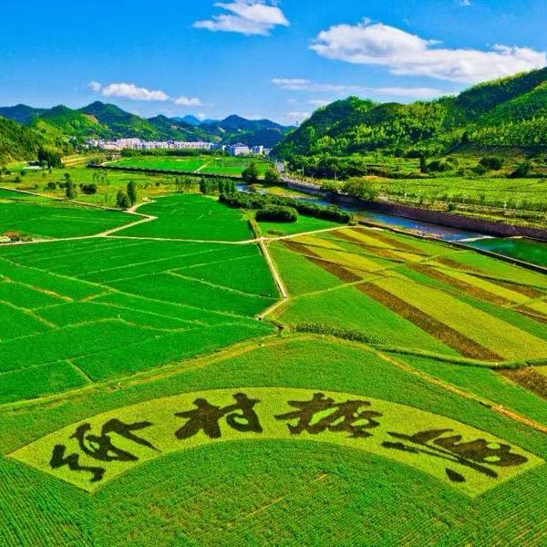 乡村农人