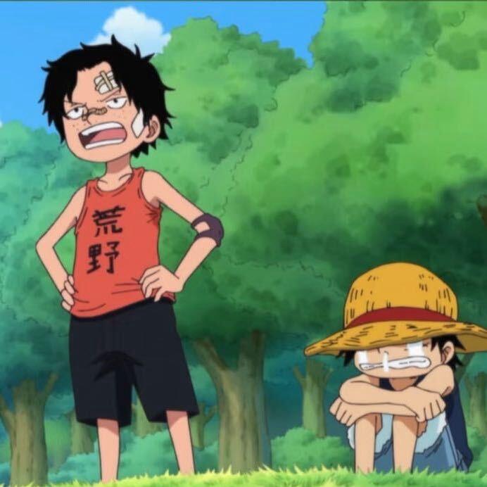 王晨光（抖音主页有单身群)