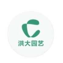 洪大园艺-圆叶虎头茉莉
