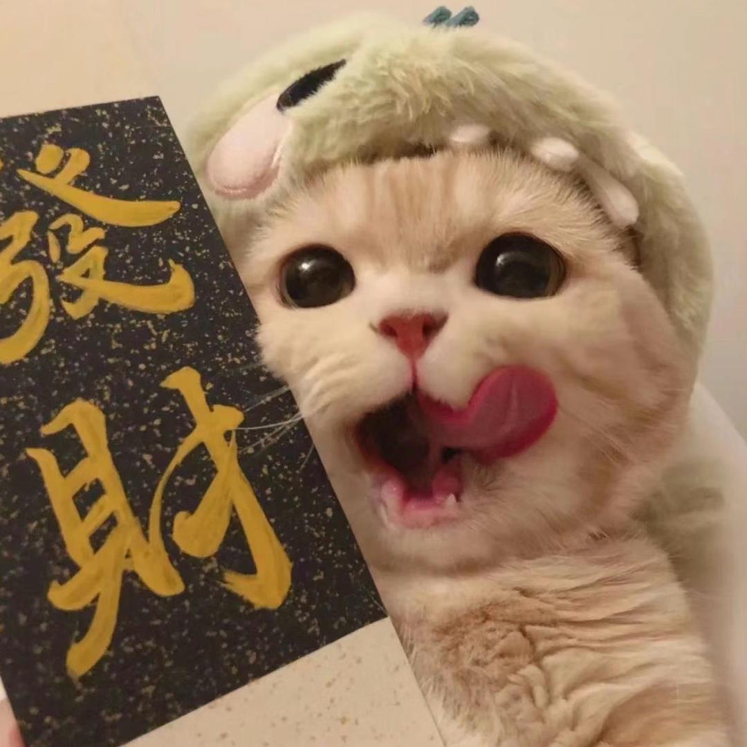 袋袋派