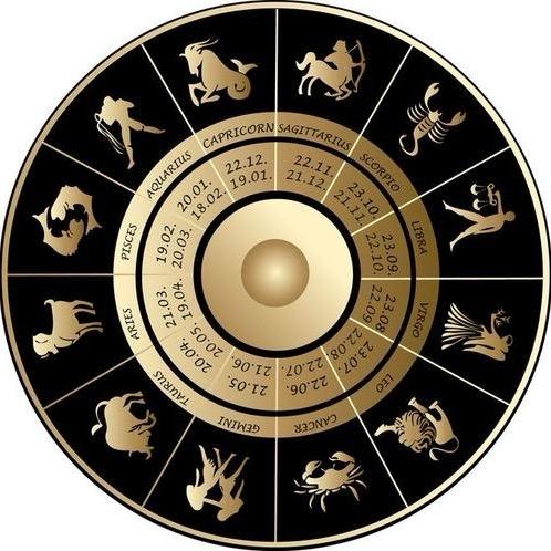 波波老师占⭐（塔塔）