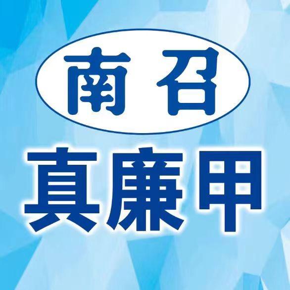 南召真廉甲二手旧货市场