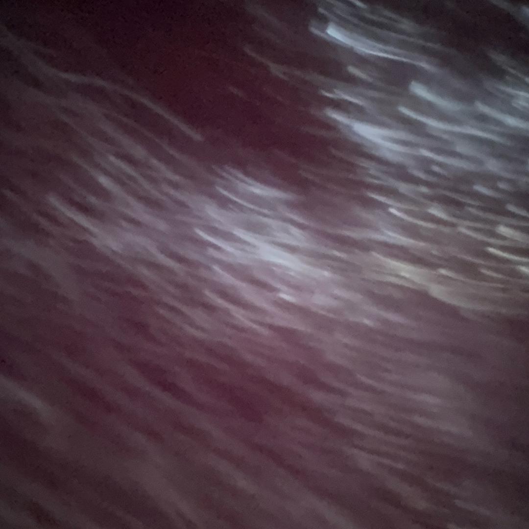 星云瞎搞君