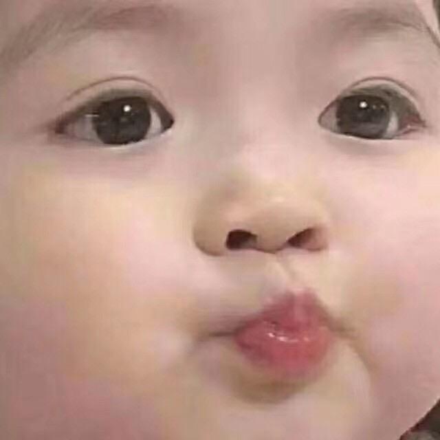 一条小鱼干
