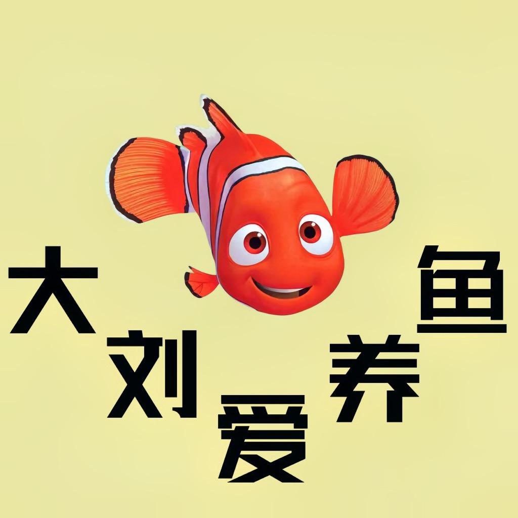 大刘养鱼日记