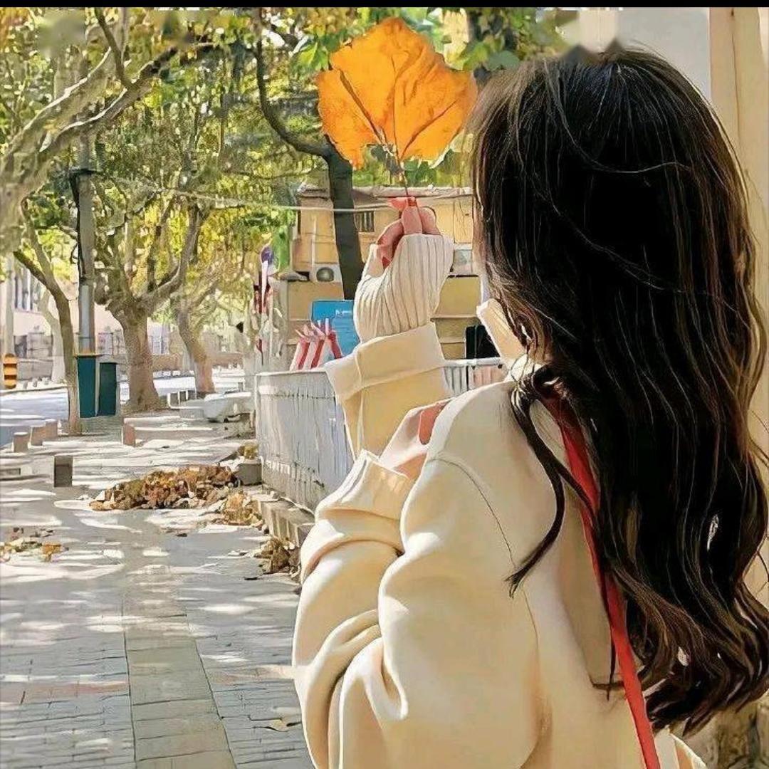 库丽努尔🌷