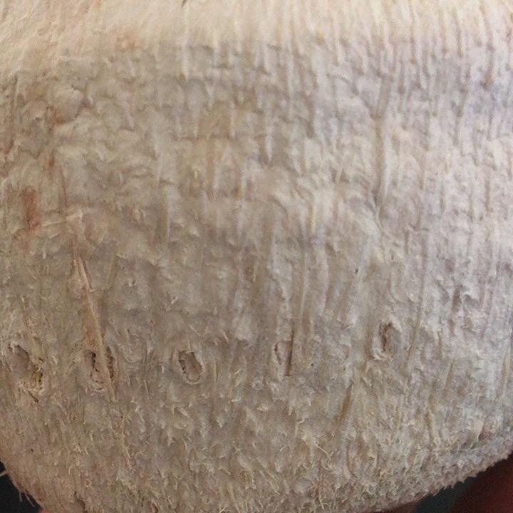 堆堆百货