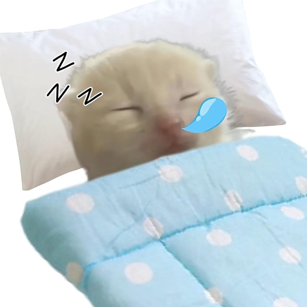 淇淇雨天