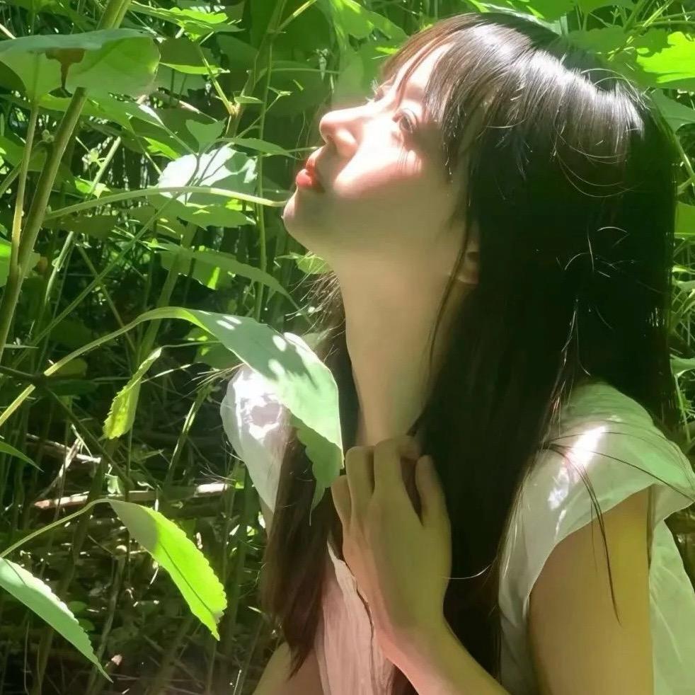 柒柒