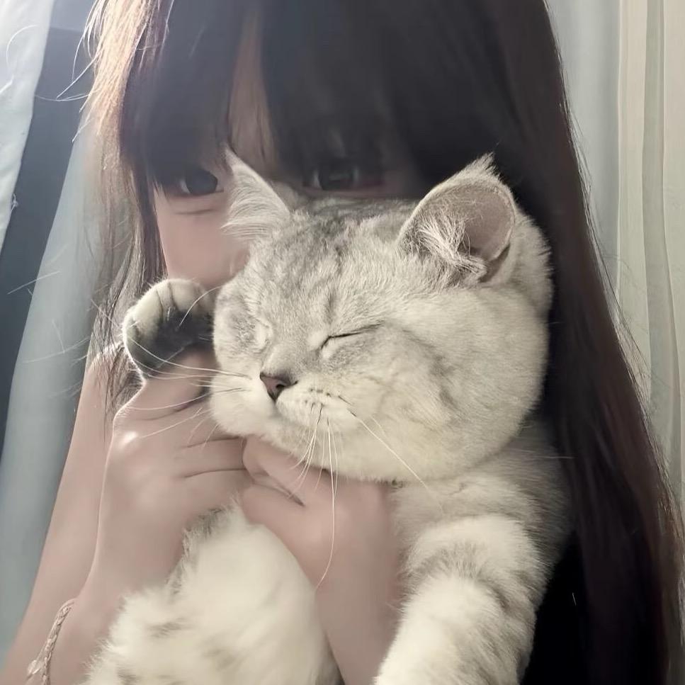 欣欣想睡懒觉😿