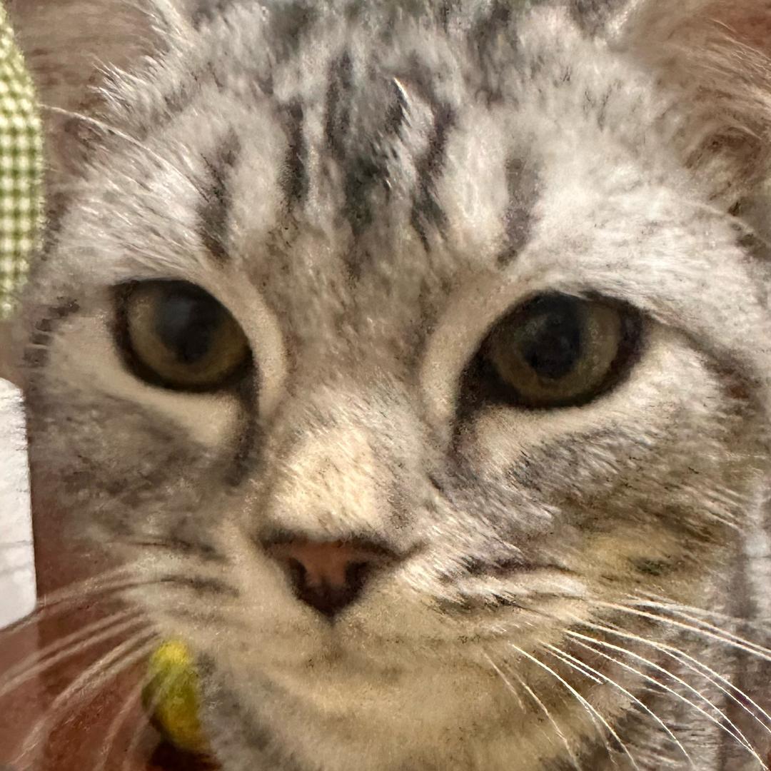眼中有微风