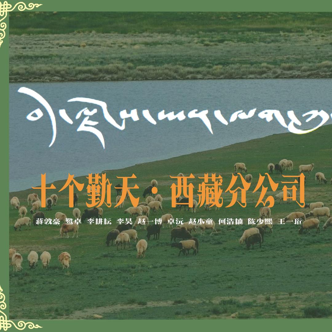 十个勤天西藏分公司