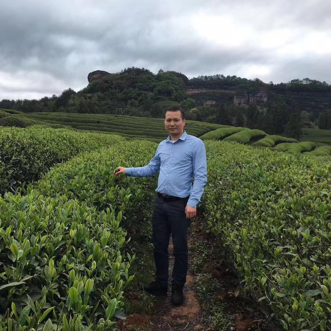 杜知茗茶业｜品鉴美好