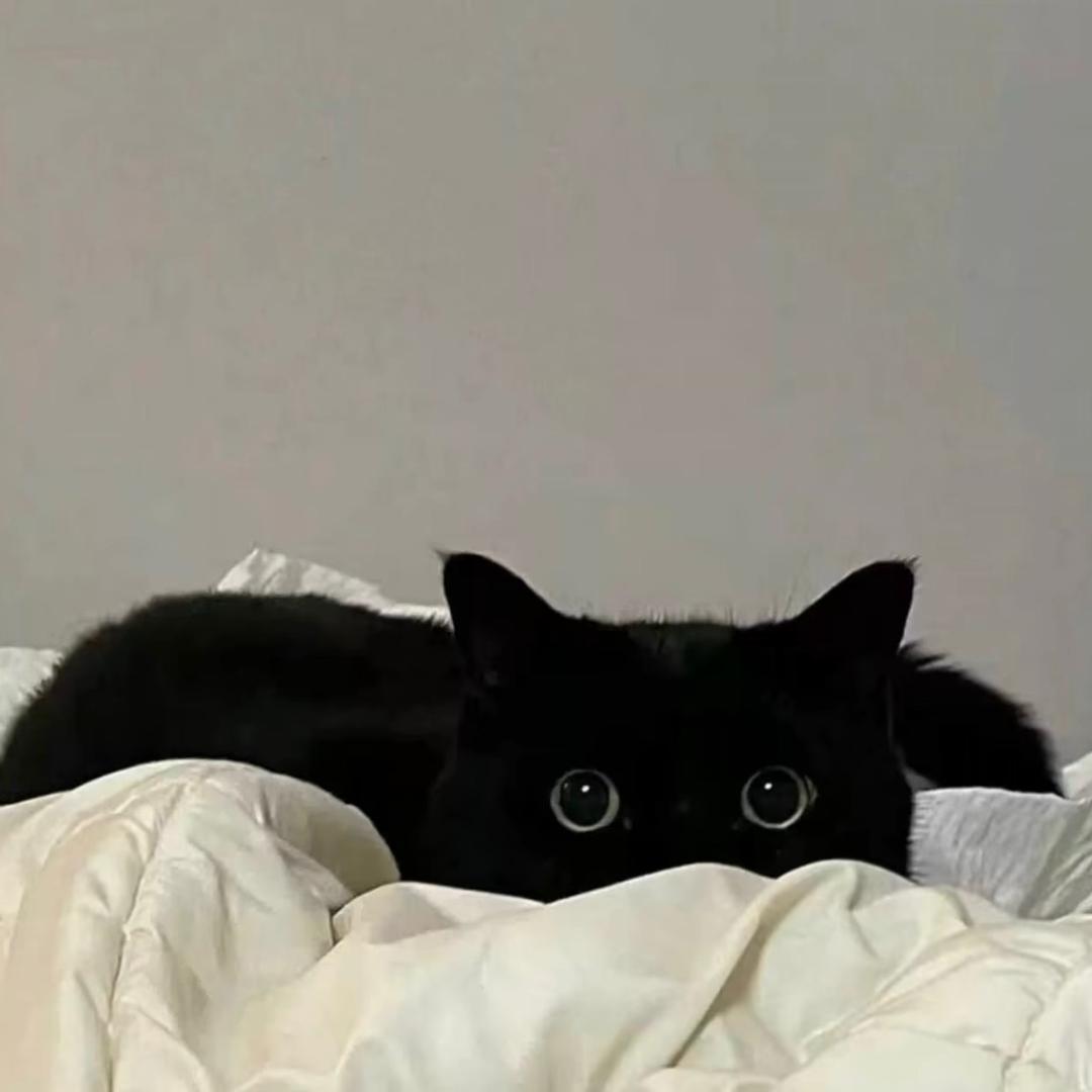 °ʚ潔ɞ°