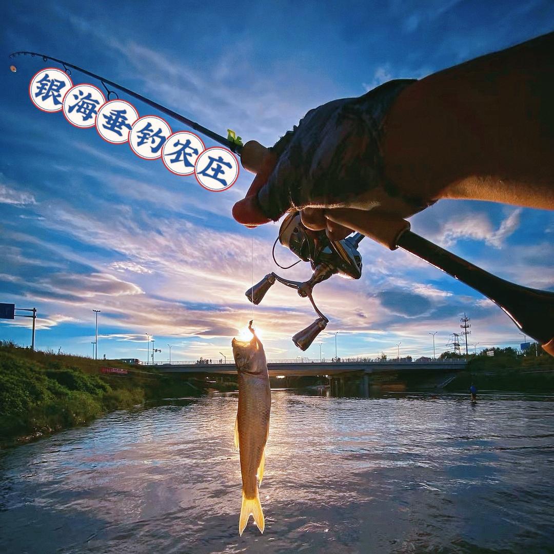 兰州银海垂钓农庄