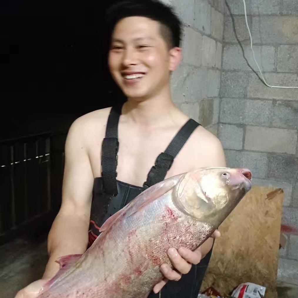 大马哈瑜