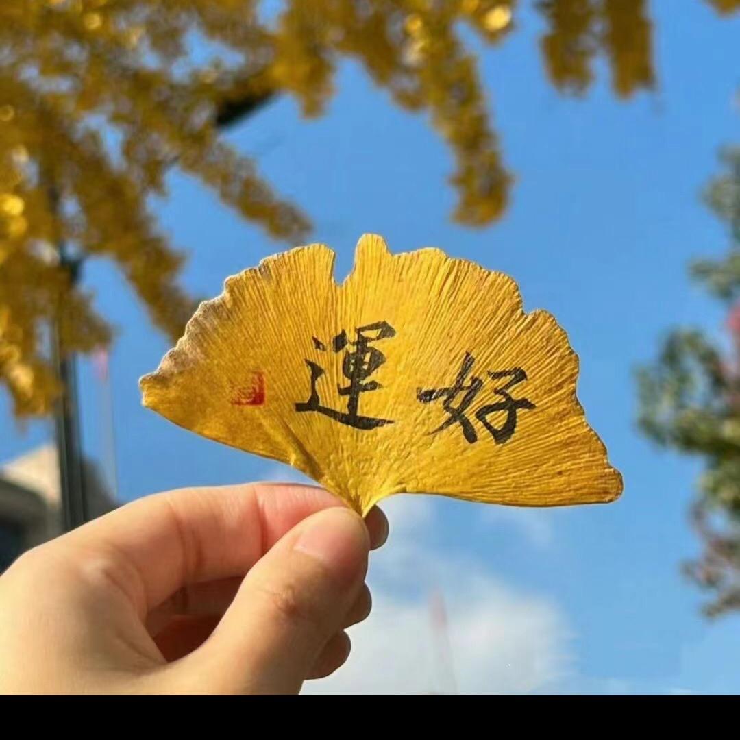 中贞艾（柏香）