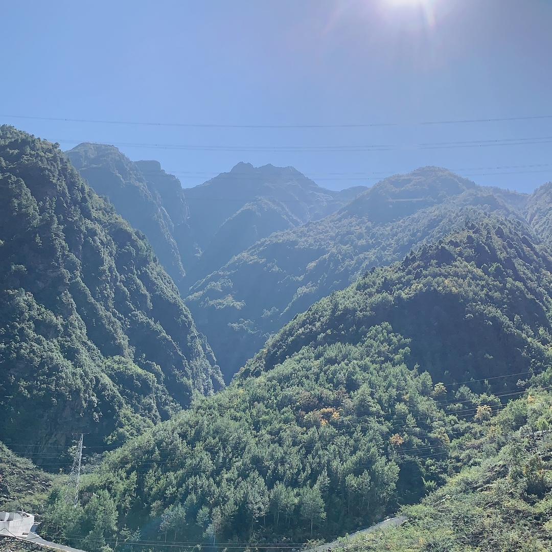 随缘而来