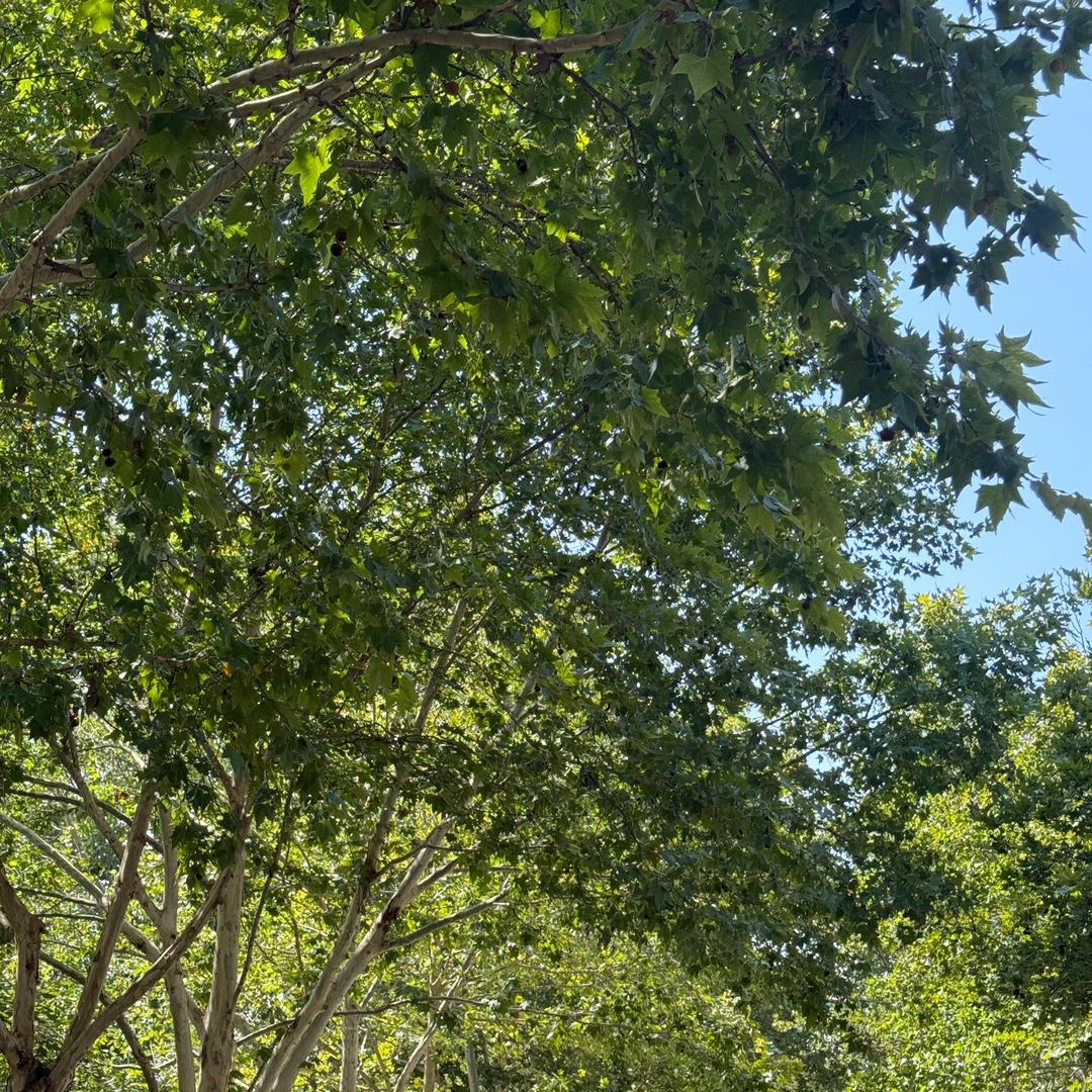 势必要拿下所有offer🫡