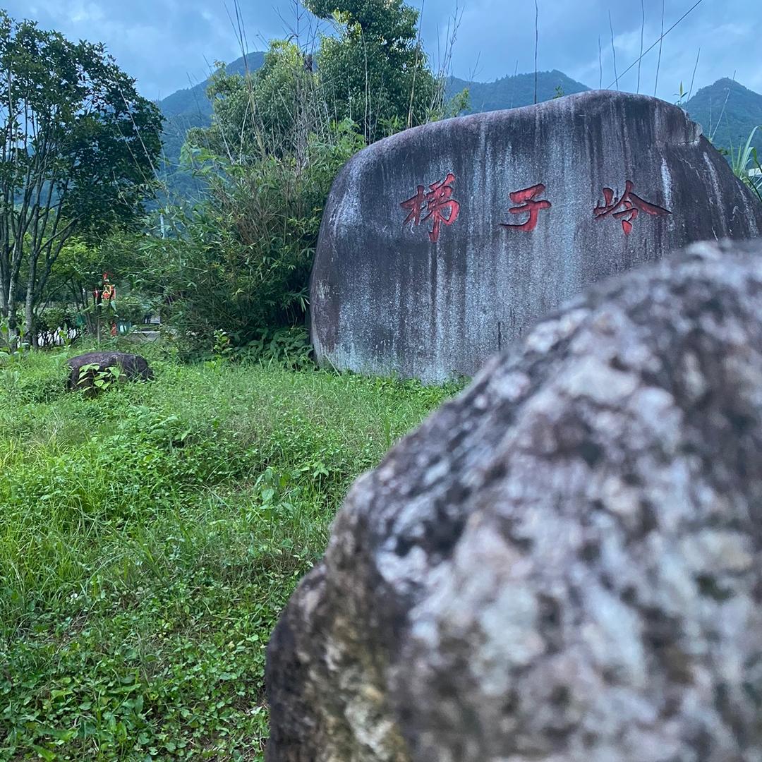 龟寺鲤乡村旅游