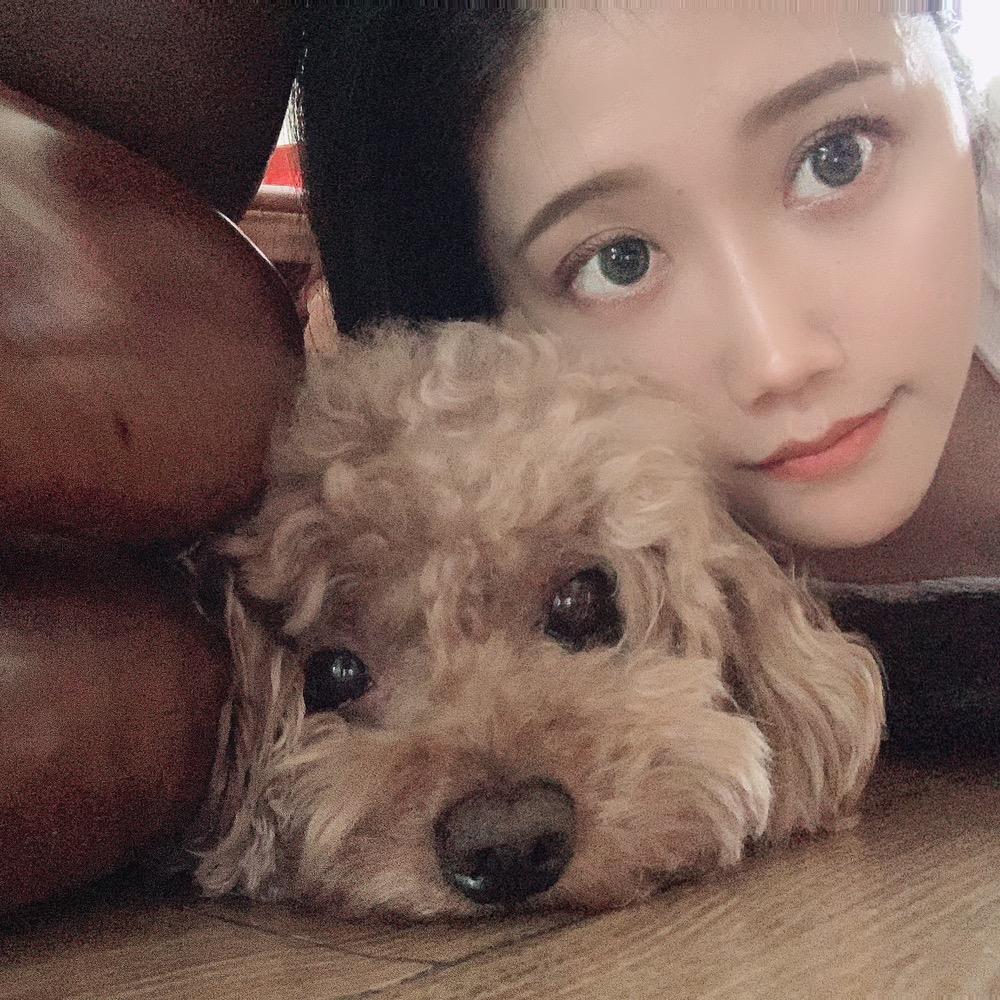 独角兽的炮仗
