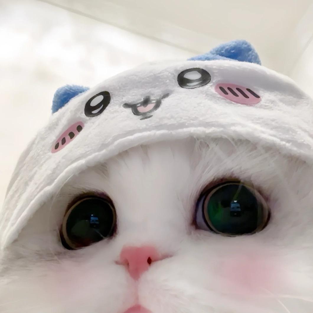 小小谜