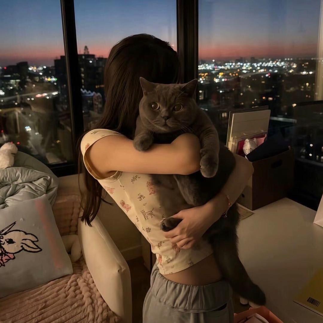 不吃香菜