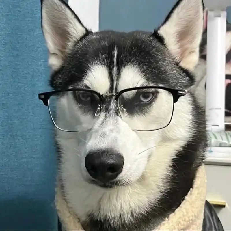 江南烟雨雾朦胧