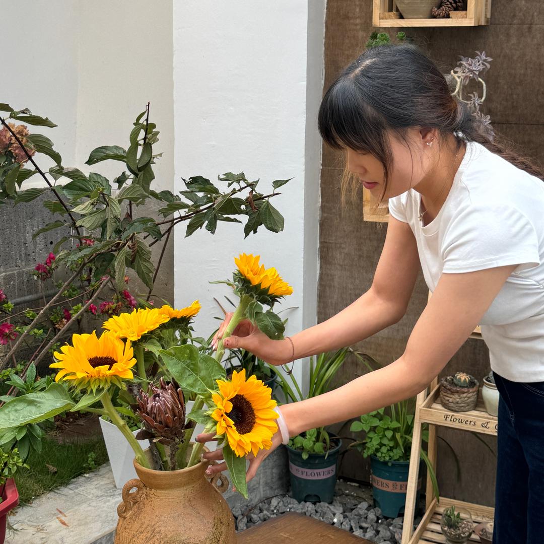 ☞赚钱养檬檬☜