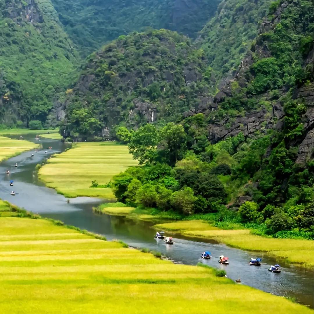 礼礼哩哩哩哩哩