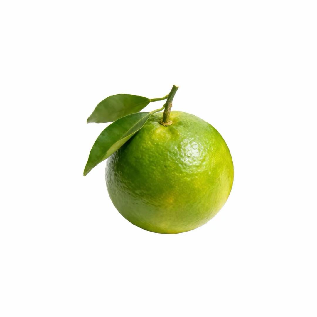 葱葱蓉蓉油饪鱿鱼