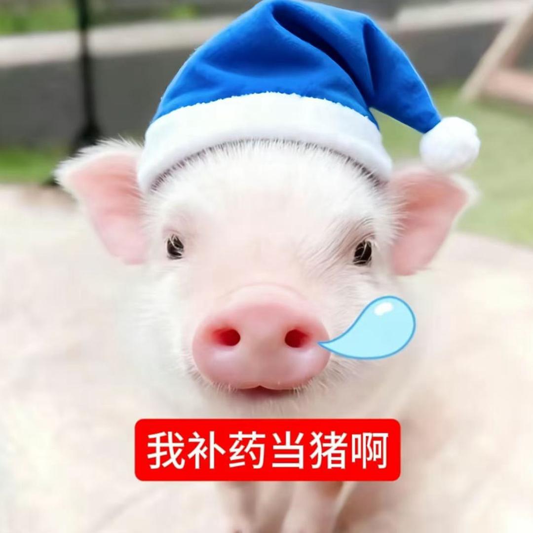 小龙包