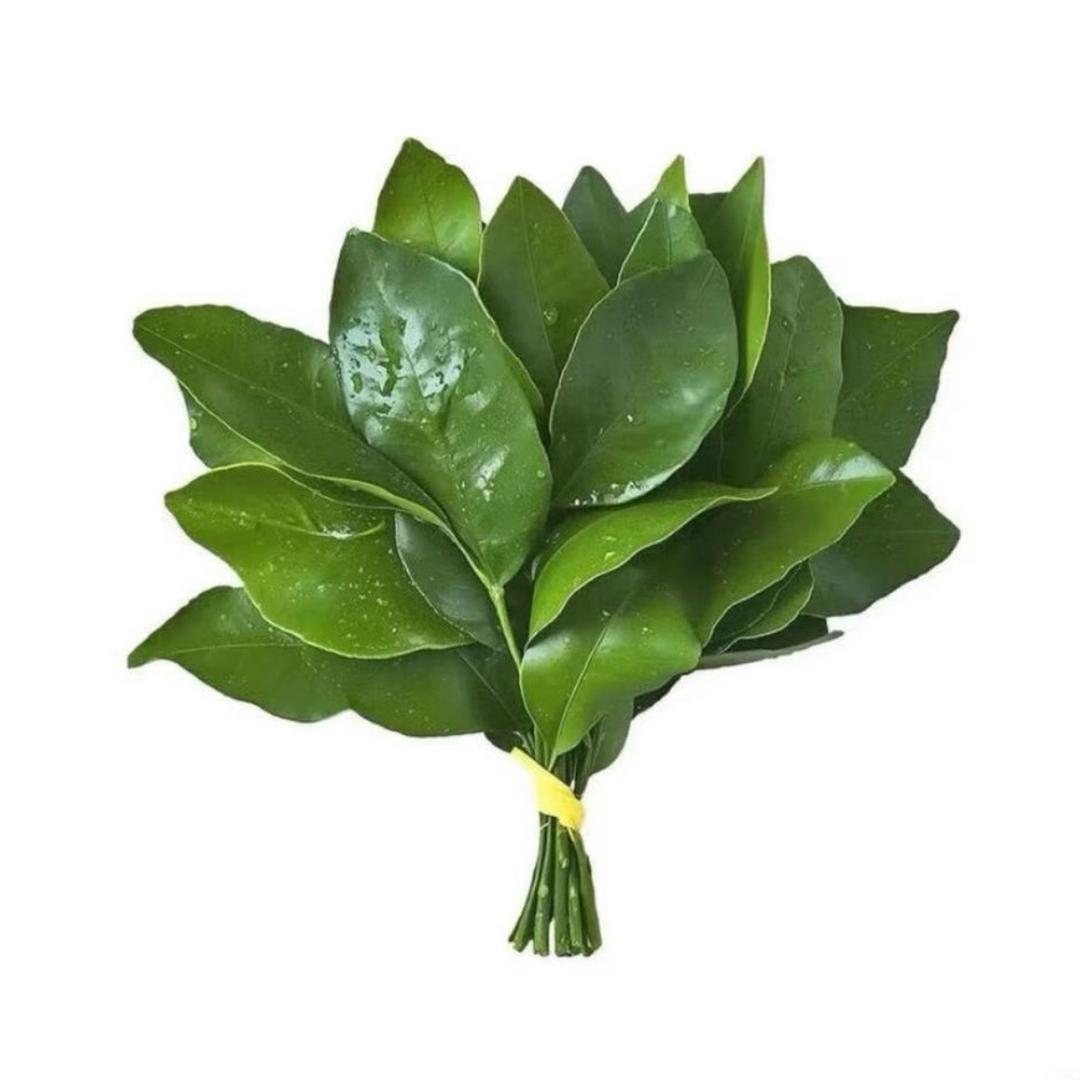 吴烦恼