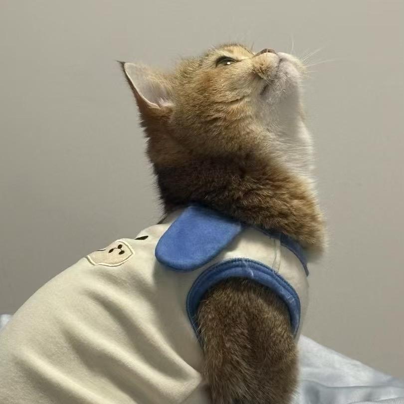 少₇一点₈  ˙Ⱉ˙