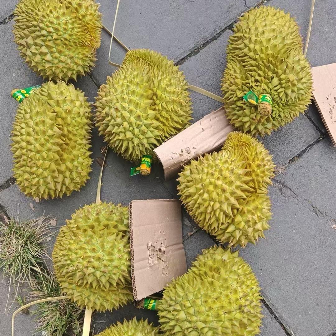 东南亚热带🏝️水果