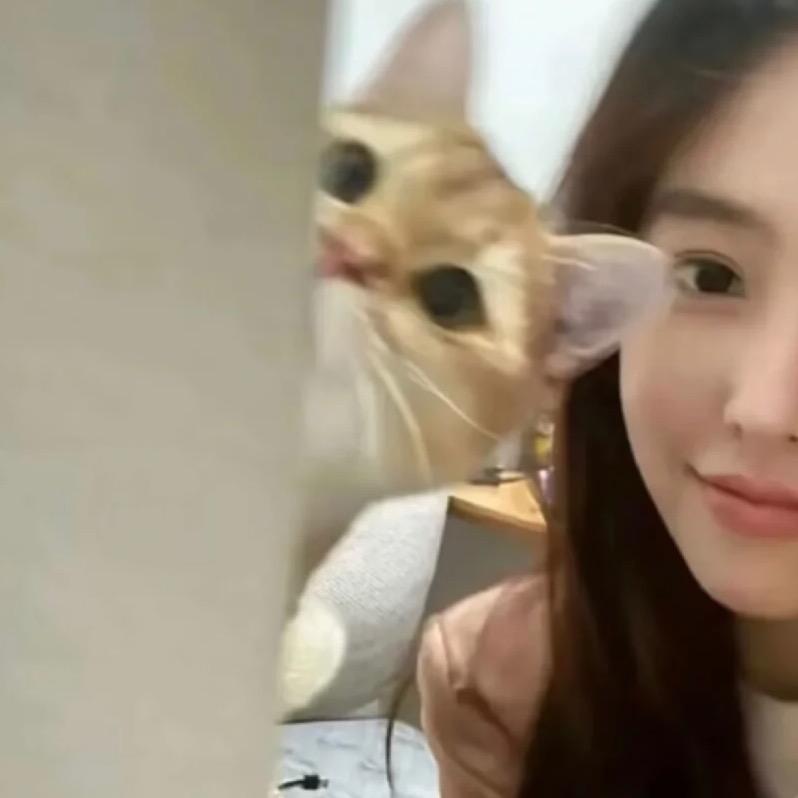 小莹妹妹🧚‍♀️