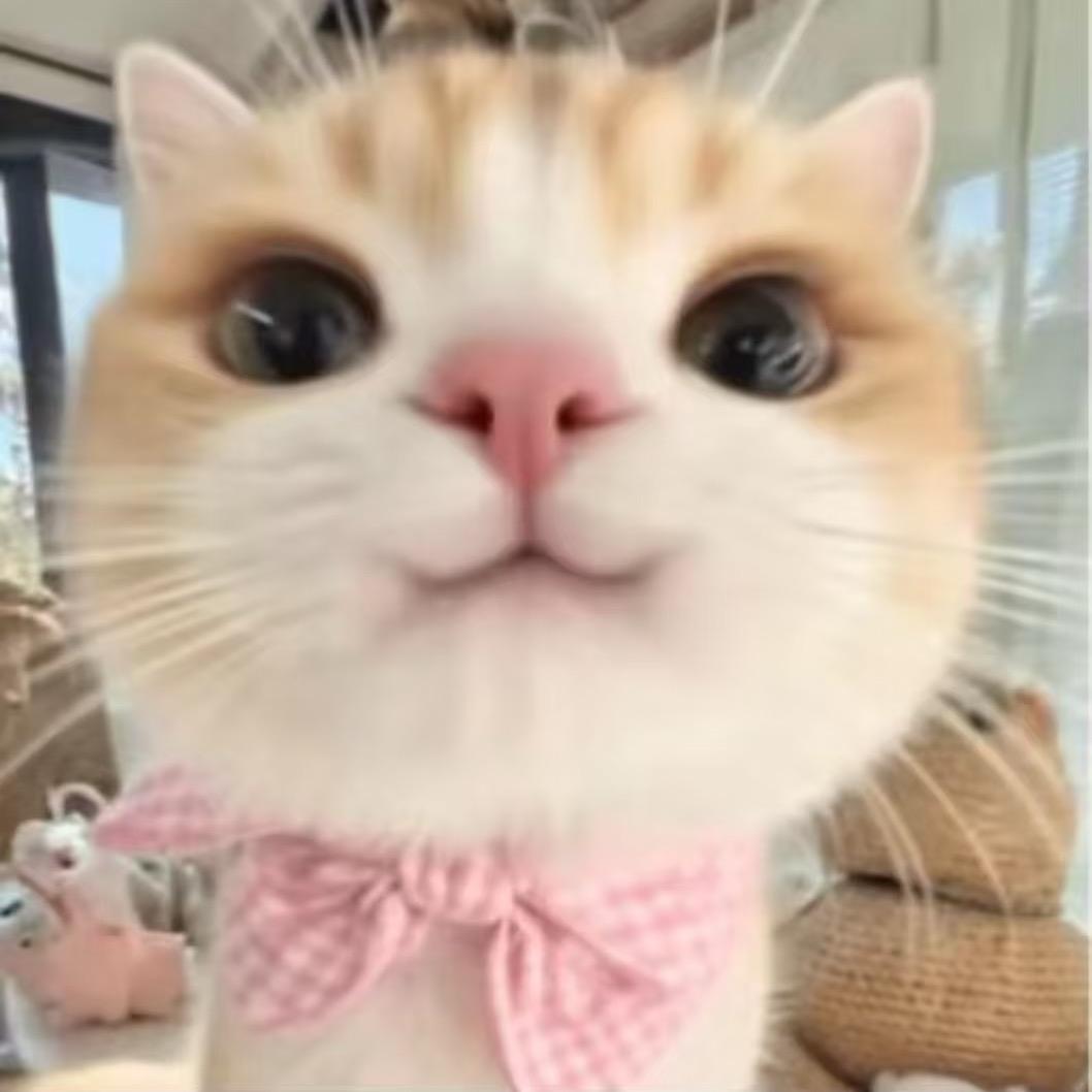 小小