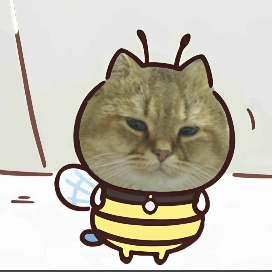 爱举铁的哈基水