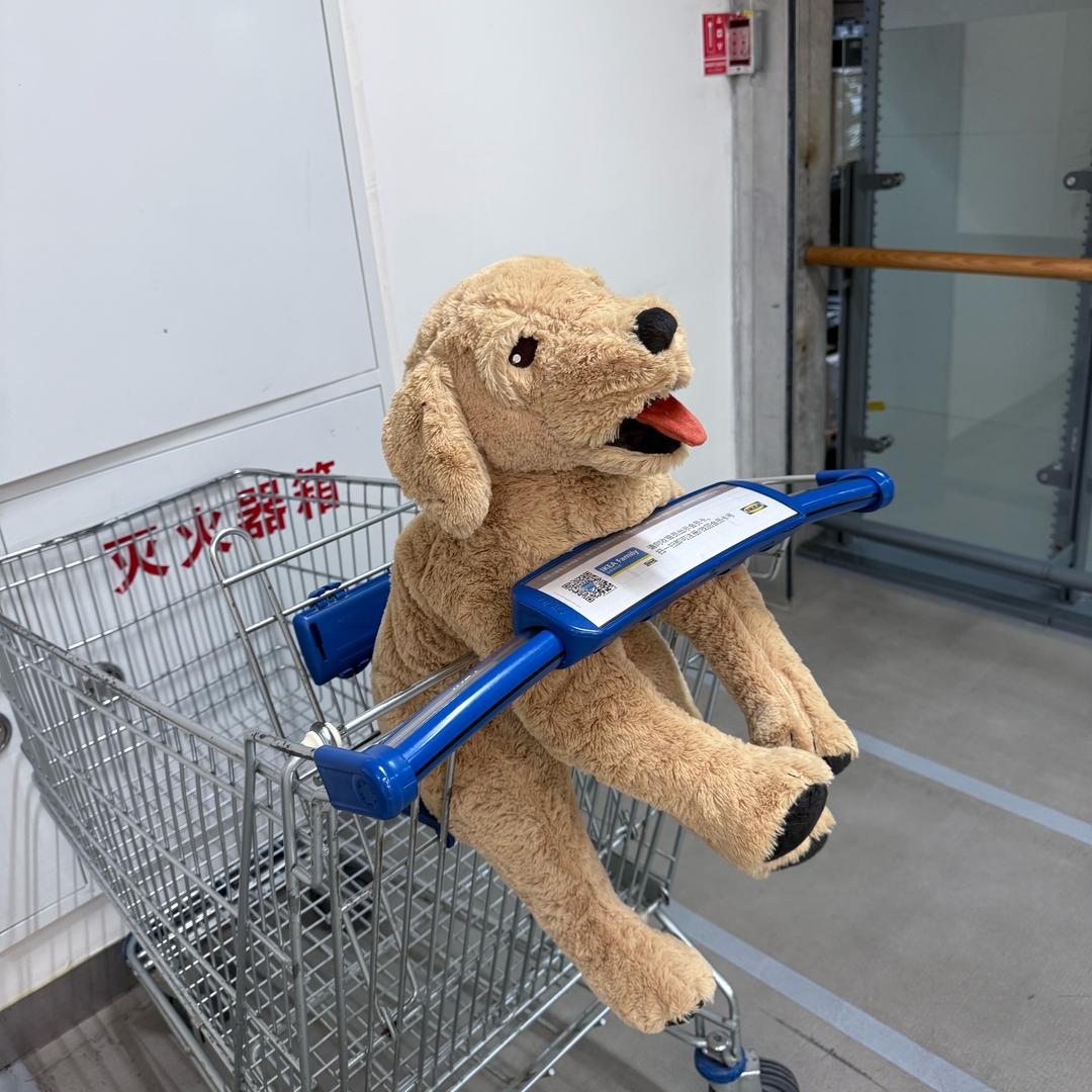 Kar儀