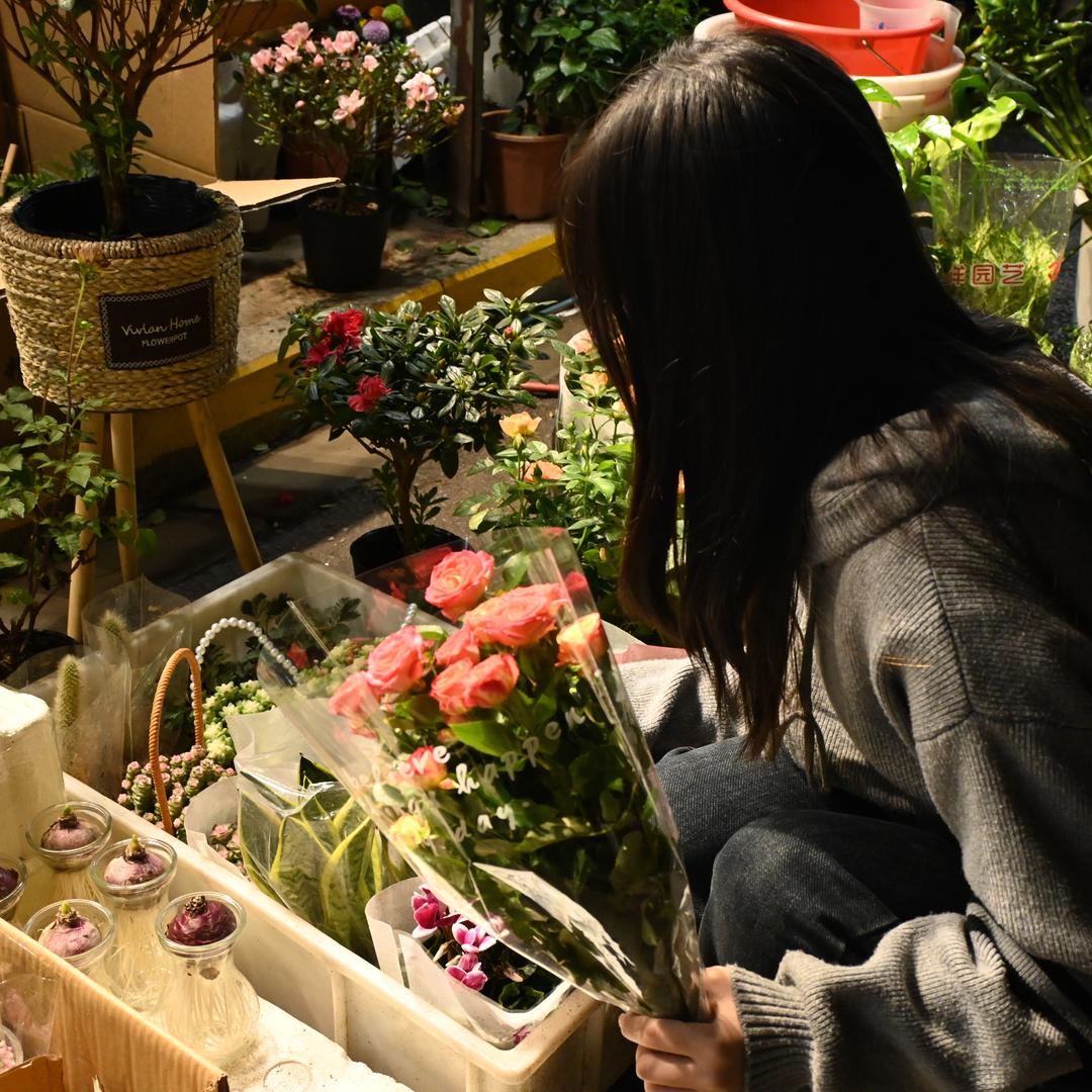 香菜yue