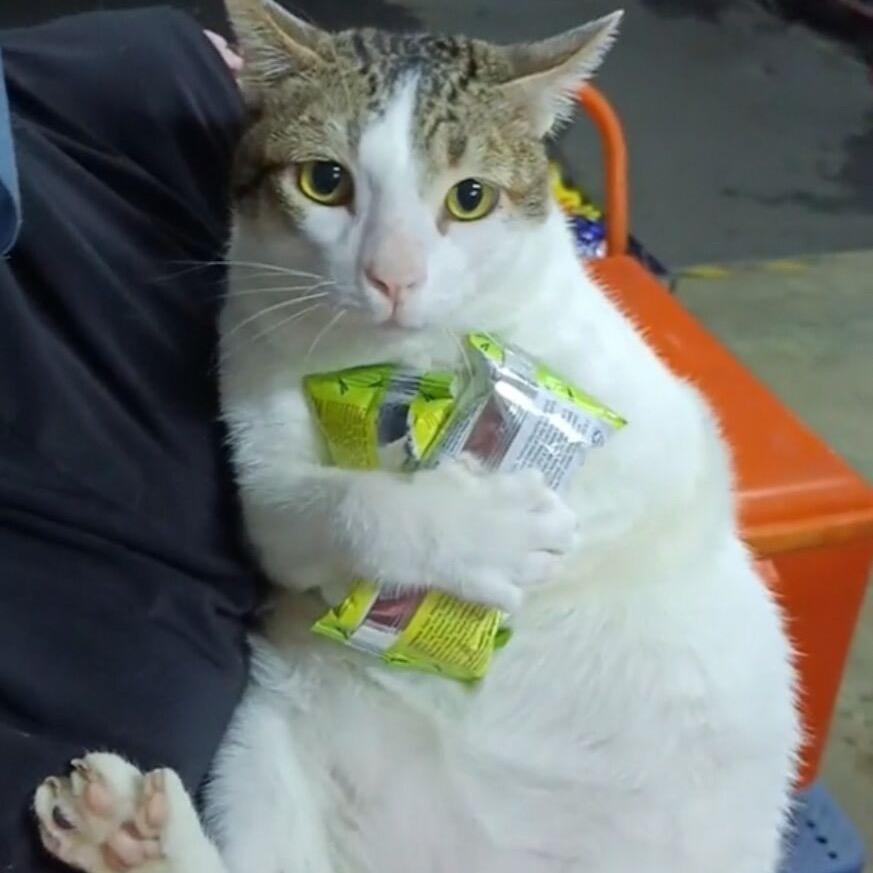 秦惠优选