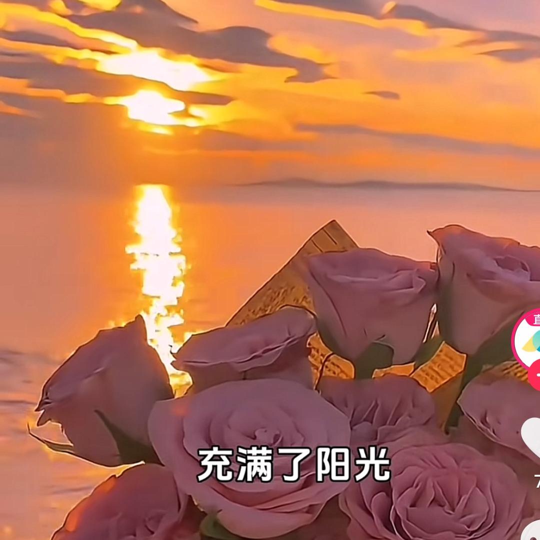 bang打dian  hua（什么都帮）