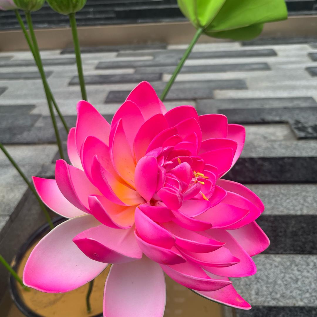 开心快乐每一天