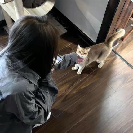 宴会厅^