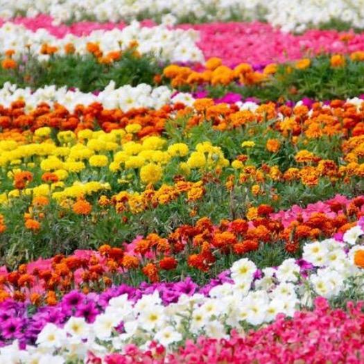 大元首饰店，加工金银首饰