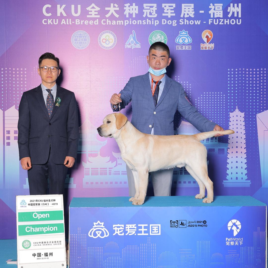 青岛市 青蓝犬舍