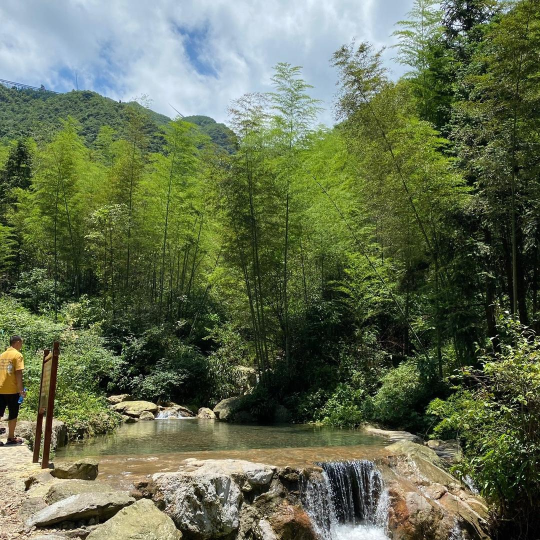 草莓泡沫汽水🥤