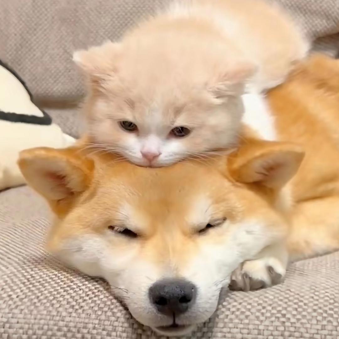 涧泉哦