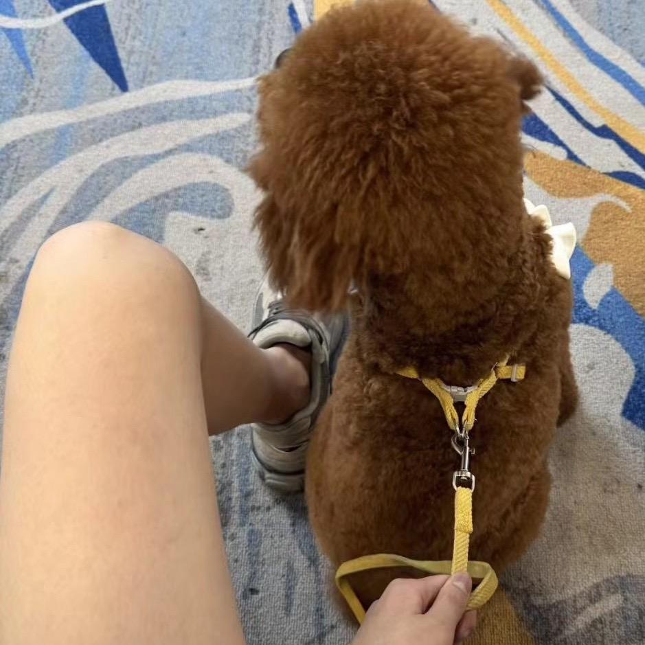 小林💐