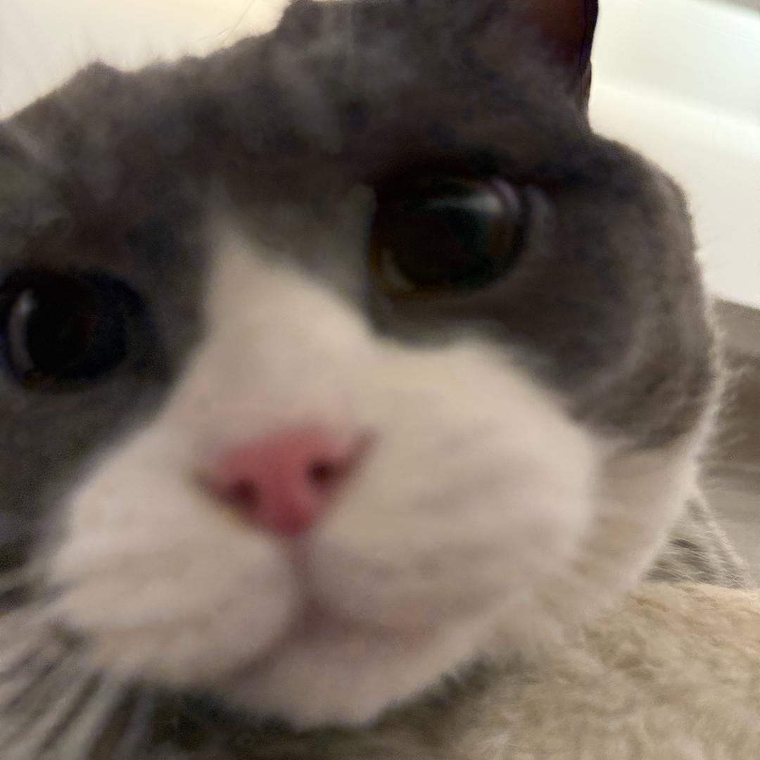 又耳Zz